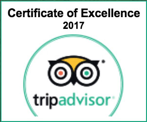 certificate excellent 2017